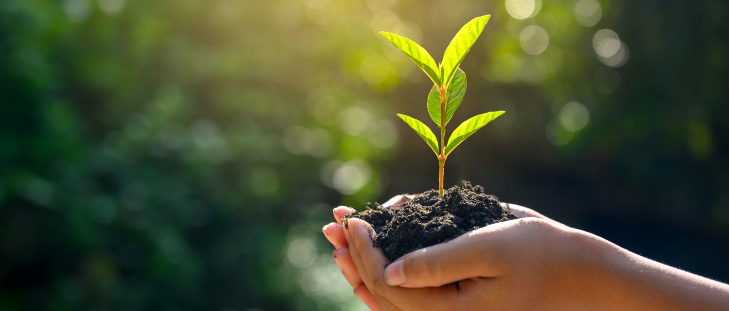 India Unveils National Red List Roadmap for Species Conservation